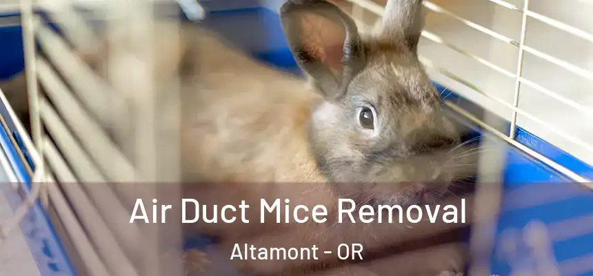  Air Duct Mice Removal Altamont - OR