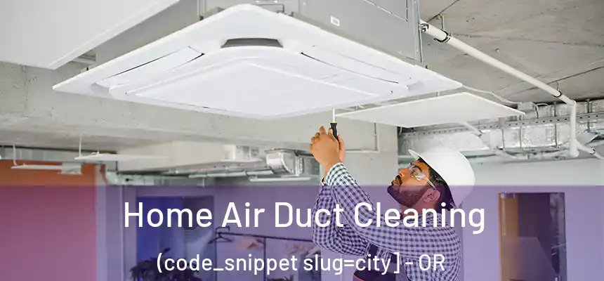  Home Air Duct Cleaning (code_snippet slug=city] - OR