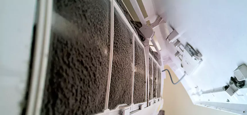 Preventive Air Duct Bacteria Removal in Altamont