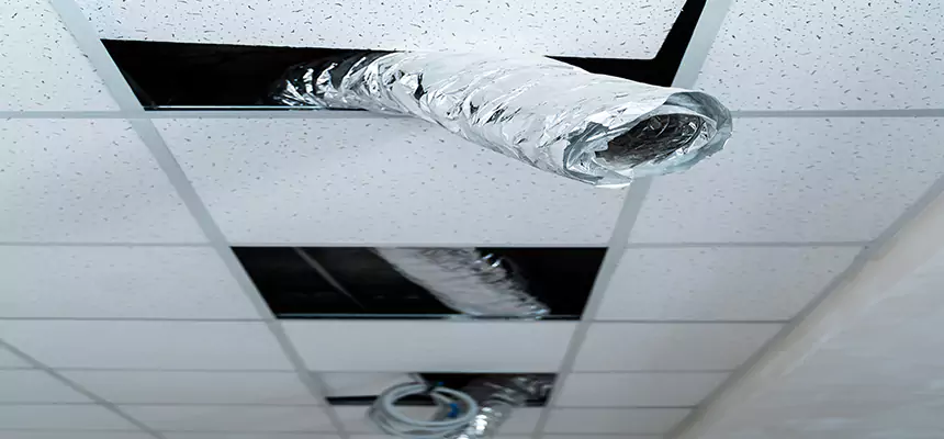 Our Air Duct Pet Hair Removal Services in Altamont, OR