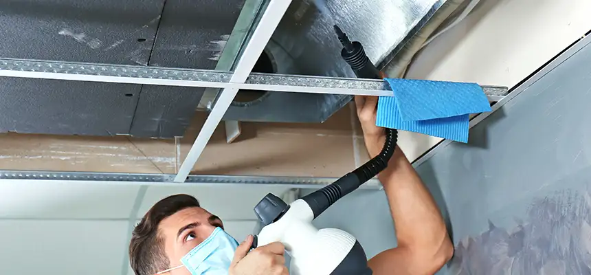 Our Air Duct Rodent Removal Services in Altamont, OR