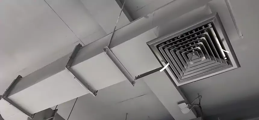 Our Pest Removal From Ducts Services in Altamont, OR