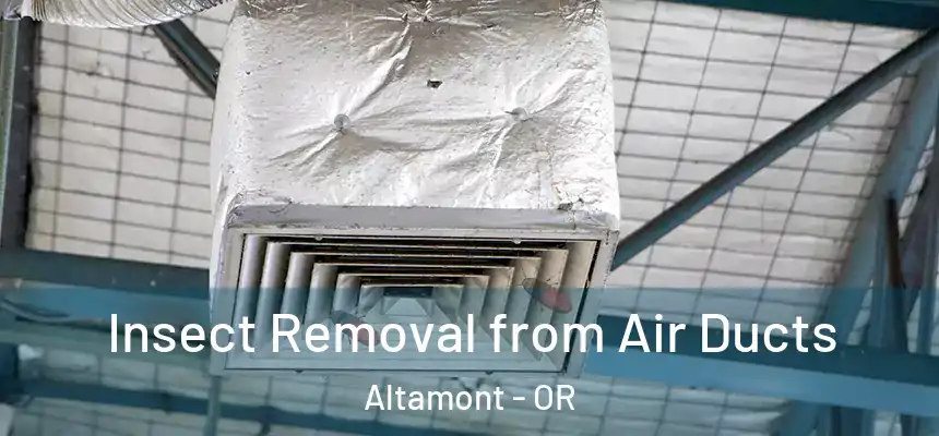  Insect Removal from Air Ducts Altamont - OR