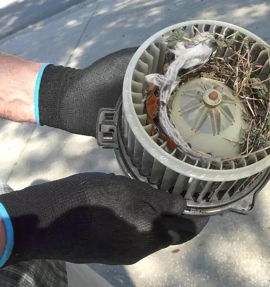 About Air Duct Rat Removal in Altamont, OR