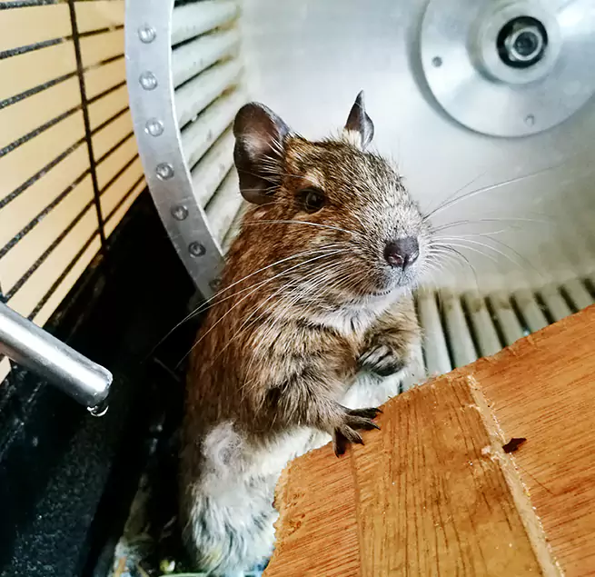 Why Homeowners & Businesses Trust Us Altamont, OR